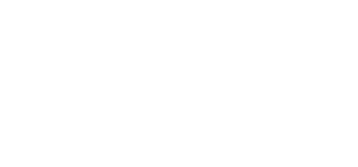 Vision